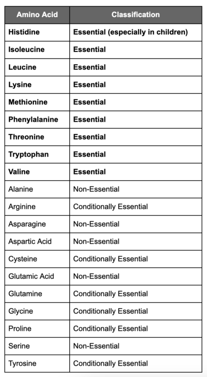 image of amino acids chart