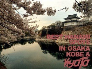 BEST HANAMI SPOTS IN OSAKA, KOBE, AND KYOTO