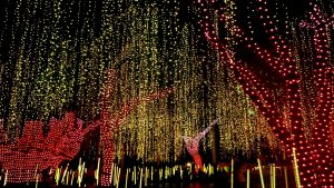 MAKATI SHINES THE BRIGHTEST WITH 'FESTIVAL OF LIGHTS'