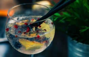 5 Reasons Why Gin Is Back With A Bang The Bar Gin