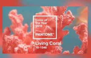 PANTONE NAMED THE "LIVING CORAL" AS THE COLOR OF THE YEAR 2019