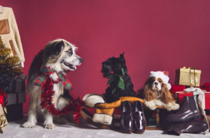 SPREAD THE HOLIDAY CHEERS WITH TOD'S GIFT GUIDE